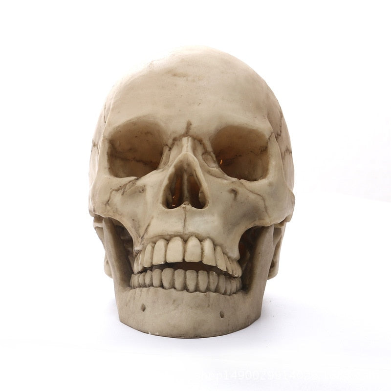 1:1 Human Head Skull Statue for Home Decor Resin Figures Halloween Decoration Sculpture Medical Teaching Sketch Model Craft