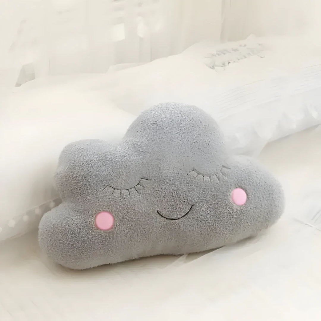 Plush Decorative Cushion