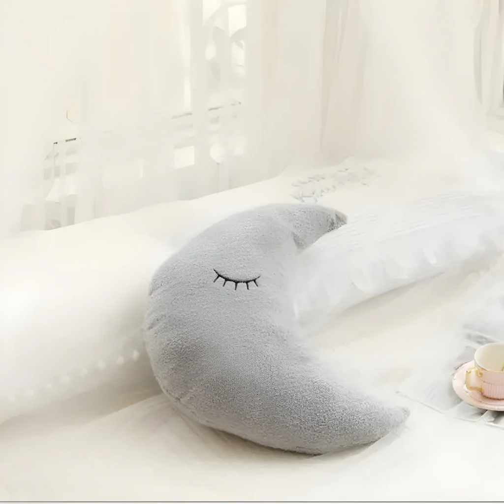 Plush Decorative Cushion