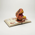 3D Pop-up Book Dinosaur