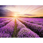 New Lavender Pattern Rug Purple Polyester Rug Machine Washable Non-Slip Rug for the Bedroom