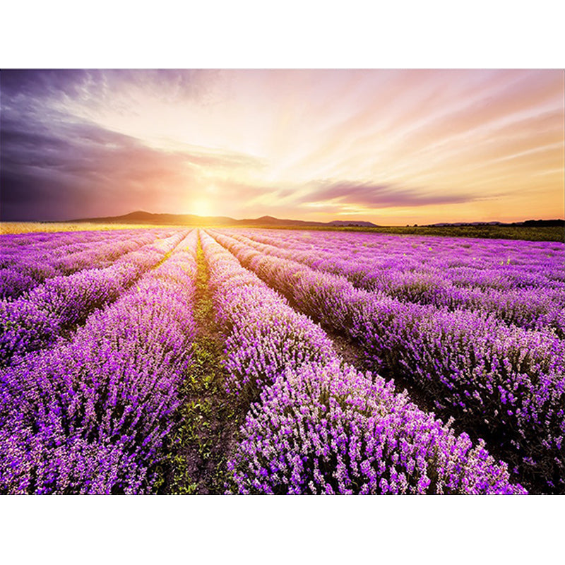 New Lavender Pattern Rug Purple Polyester Rug Machine Washable Non-Slip Rug for the Bedroom