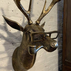 Unique animal head wall decoration for home