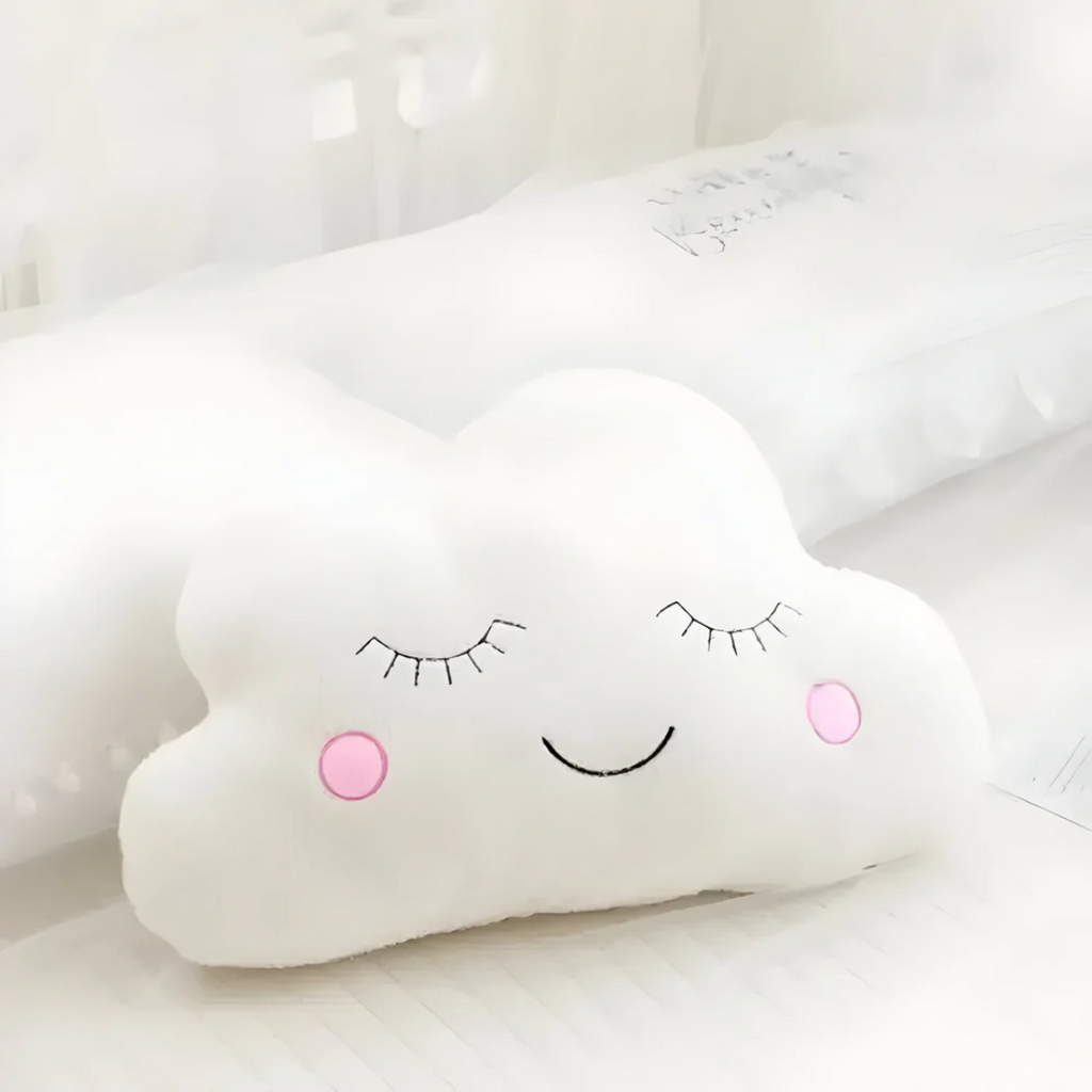 Plush Decorative Cushion
