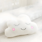Plush Decorative Cushion