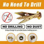 Vinantica | Drywall Expansion Anchors + High Strength Zinc Screws Kit (Pack of 100)