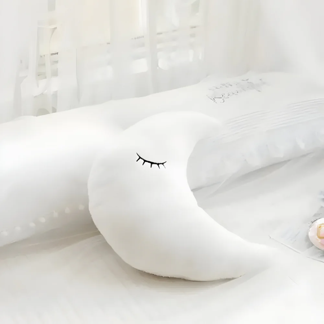 Plush Decorative Cushion