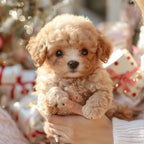 Interactive plush dog with realistic movements – For children & seniors