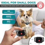 Antibell-Collar for small dogs