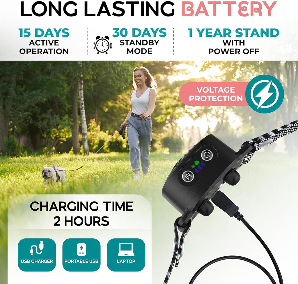 Antibell-Collar for small dogs