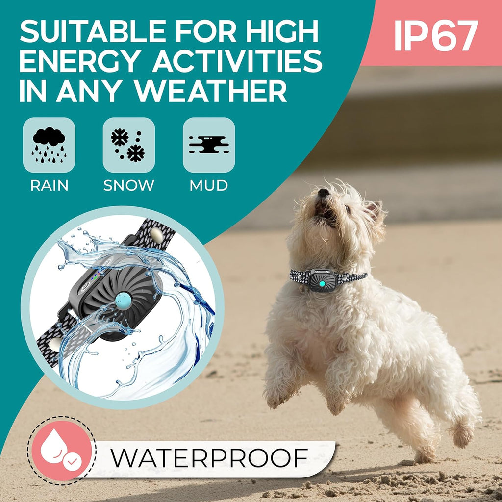 Antibell-Collar for small dogs