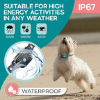 Antibell-Collar for small dogs