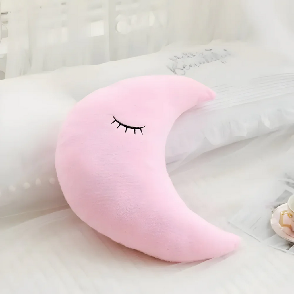 Plush Decorative Cushion