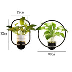 LED Wall Light with Integrated Plants – Designer Wall Lights for Interiors