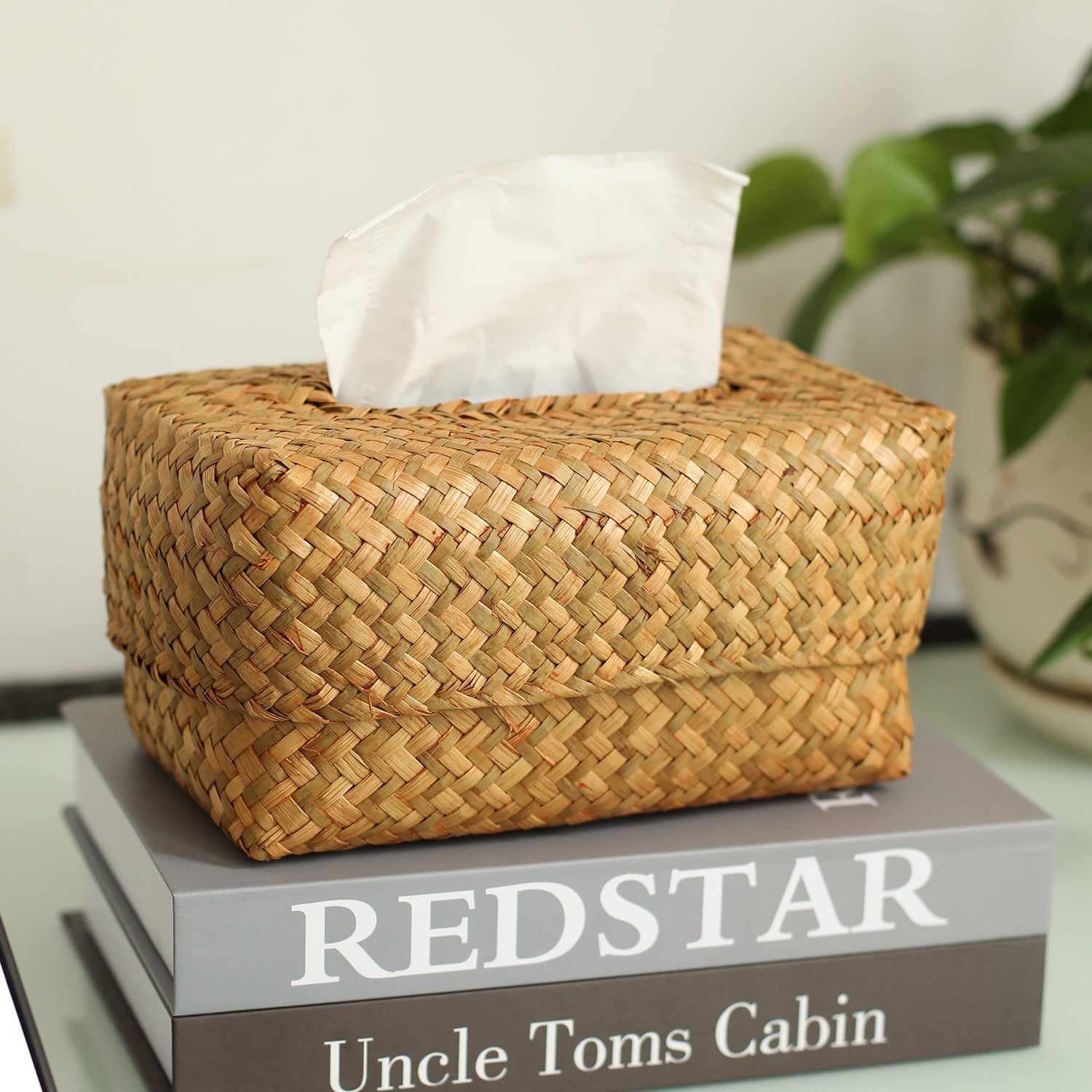 Decorative Storage Box