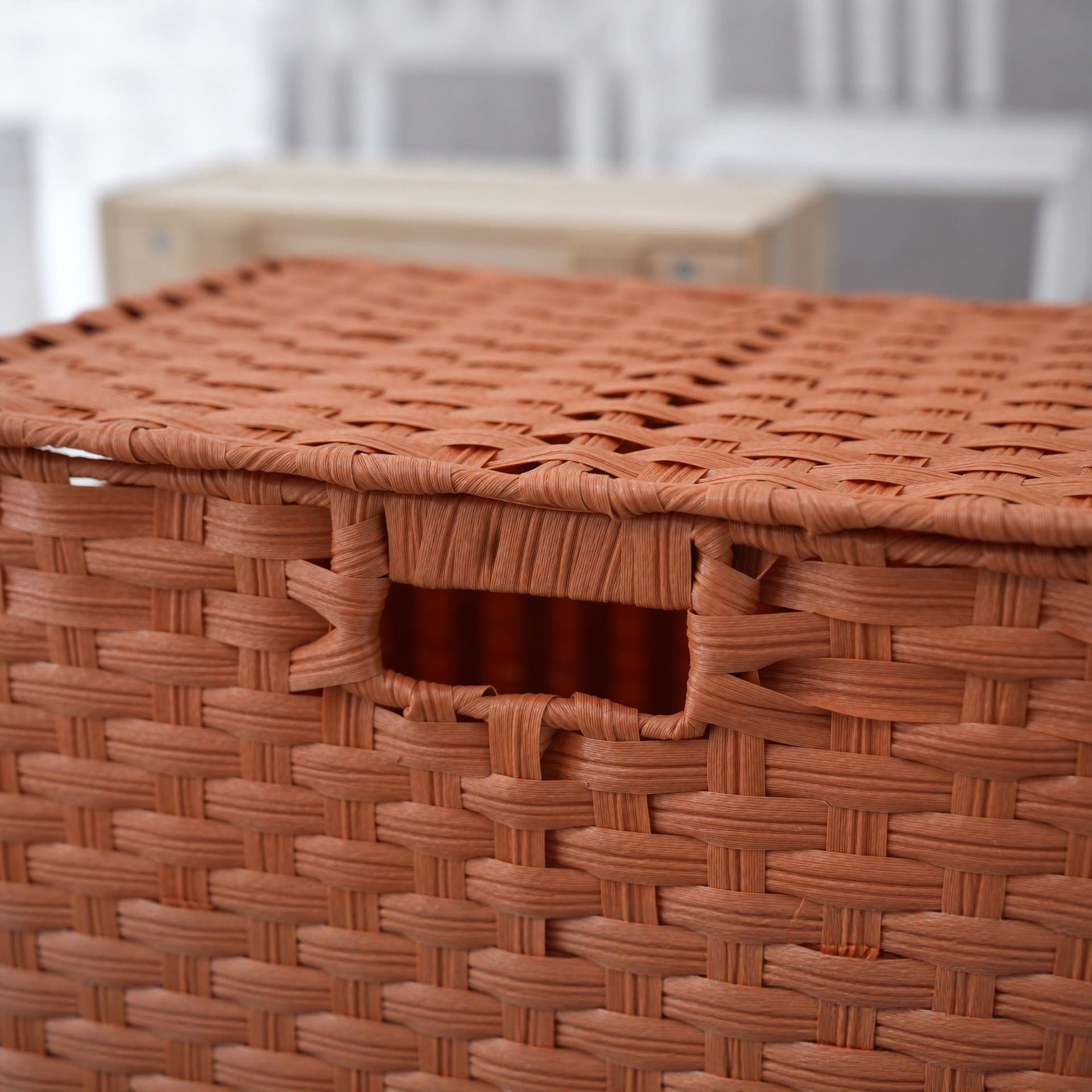 Storage Box Made Of Sturdy Braided Material