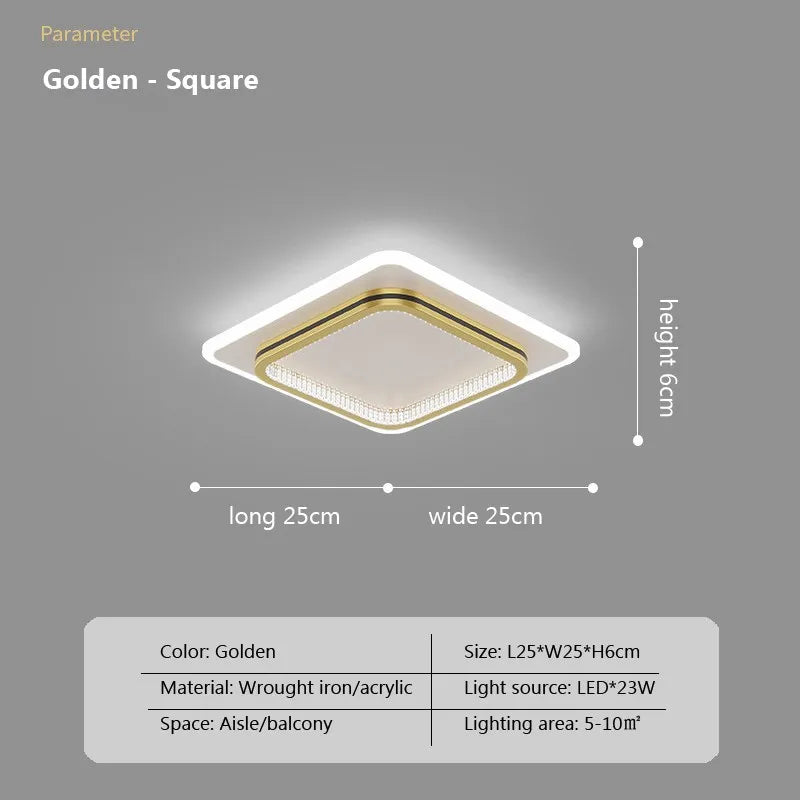 Modern LED Ceiling Light