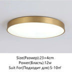 Modern LED Corridor Ceiling Light Lamps - Simple Golden Round