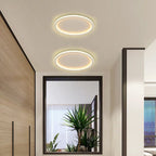 Modern LED Ceiling Light – Dimmable Indoor Lighting Fixture for Bedroom, Bathroom, Kitchen, and Corridor