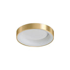 Modern LED Ceiling Light – Dimmable Gold Surface-Mounted Lamp for Master Bedroom, Study, Balcony, and Corridor