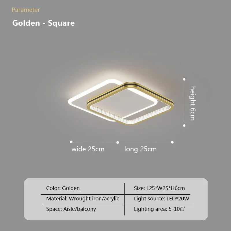 Modern LED Ceiling Light