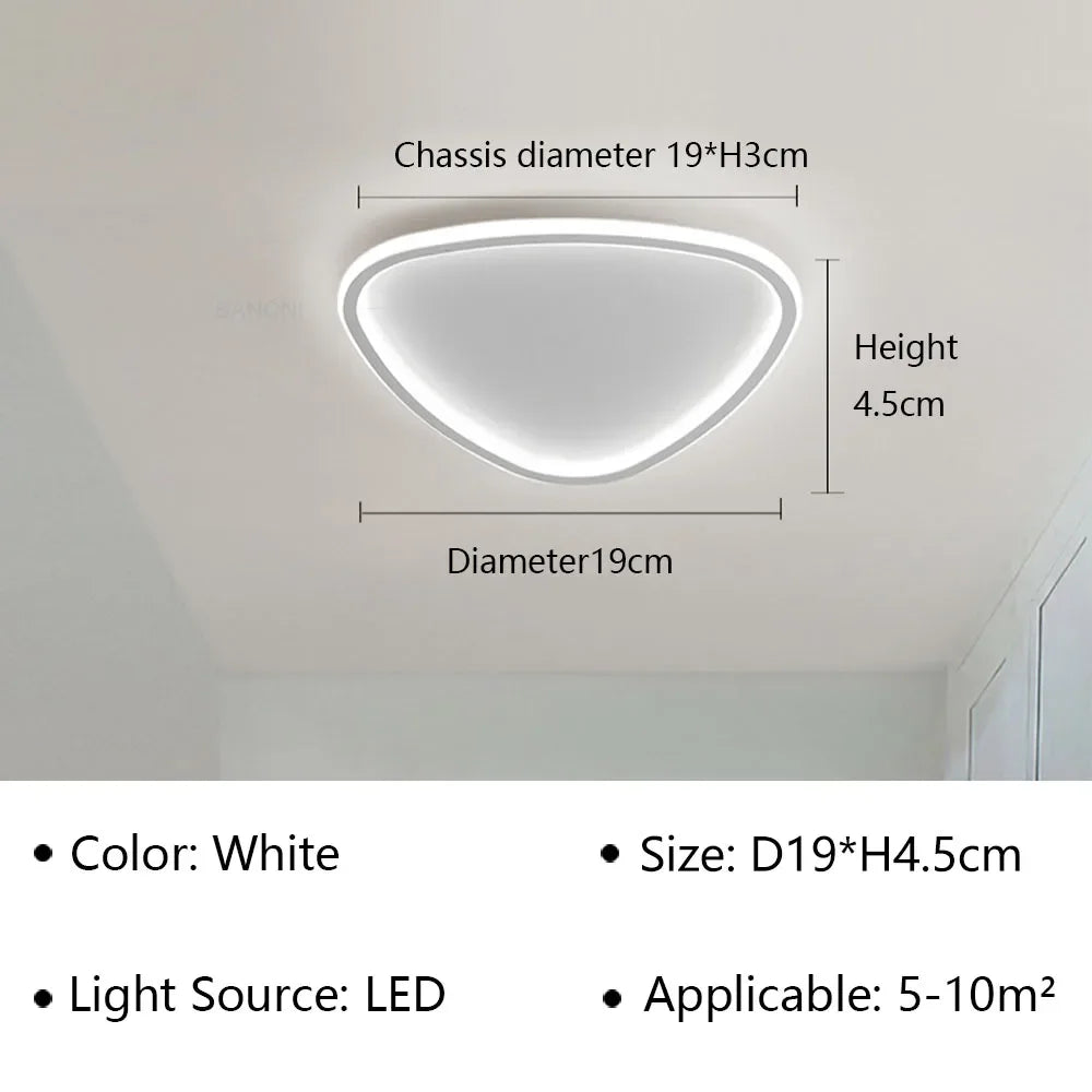 Modern LED Ceiling Lamp - Elegant Oval Design for Versatile Indoor Lighting