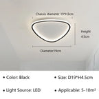 Modern LED Ceiling Lamp - Elegant Oval Design for Versatile Indoor Lighting
