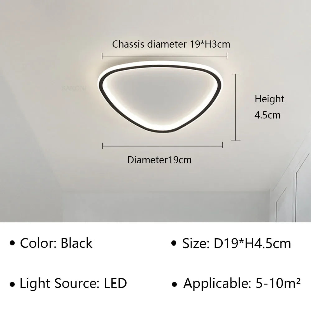 Modern LED Ceiling Lamp - Elegant Oval Design for Versatile Indoor Lighting
