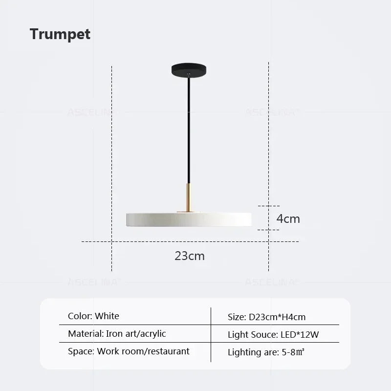 Modern LED Pendant Light – 23/30cm Disc Hanging Lamp for Bedroom, Living Room, Office, and Aisle – Dimmable LED Ceiling Light