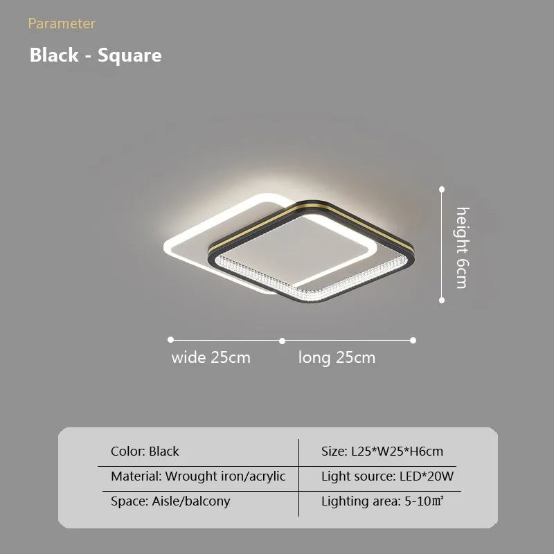 Modern LED Ceiling Light