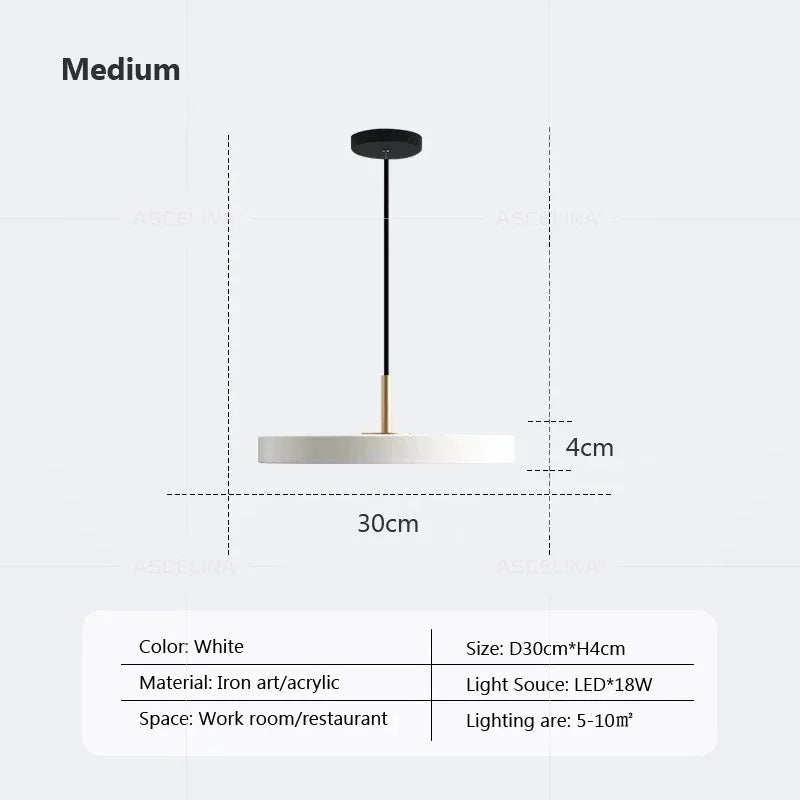 Modern LED Pendant Light – 23/30cm Disc Hanging Lamp for Bedroom, Living Room, Office, and Aisle – Dimmable LED Ceiling Light