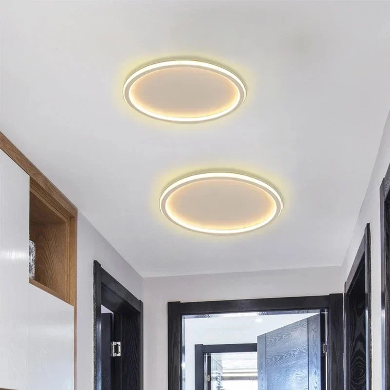 Modern LED Ceiling Light – Dimmable Indoor Lighting Fixture for Bedroom, Bathroom, Kitchen, and Corridor