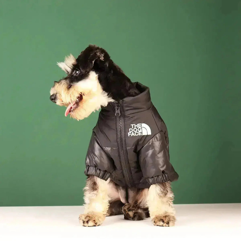 Dog Winter Jacket | Lined and Windproof