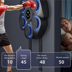 Music punching bag with target features
