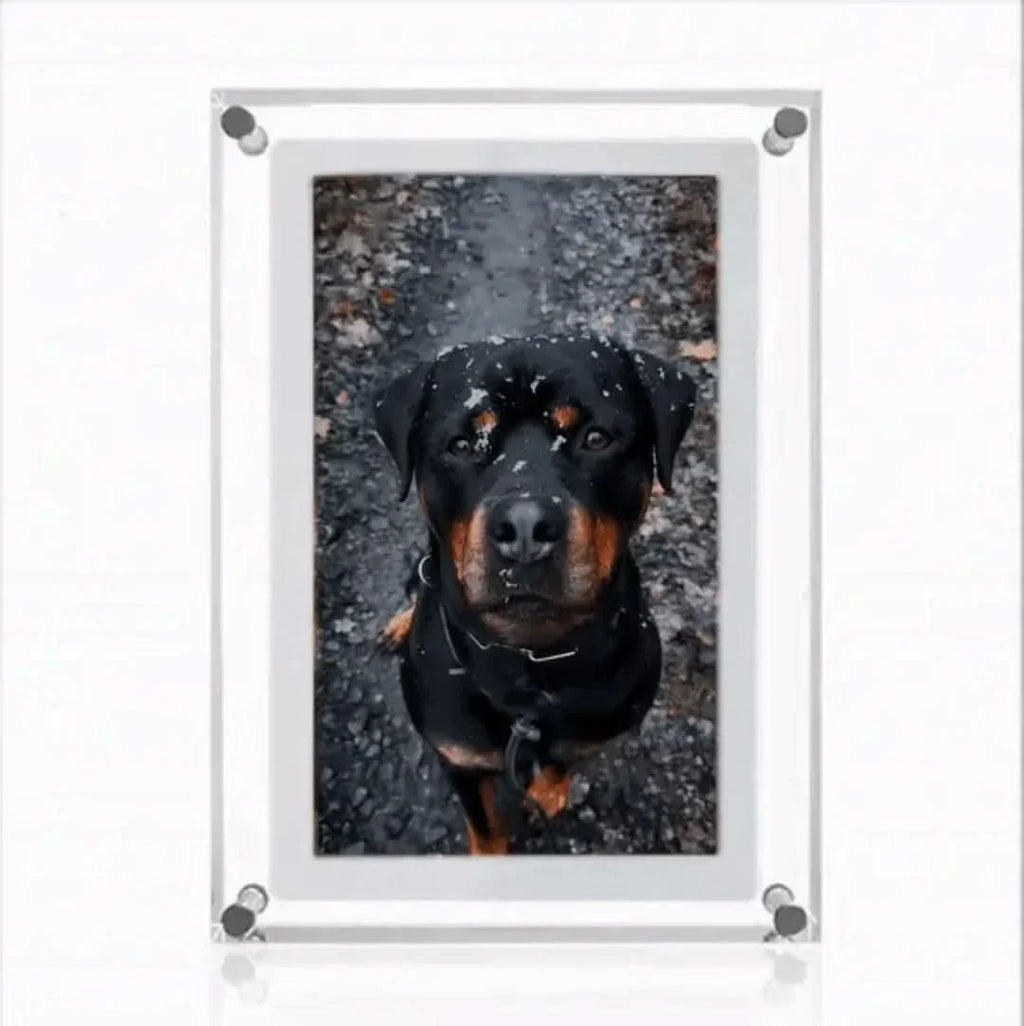 Memory Frame | For Eternal Memories