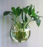 Wall Mounted Transparent Fish Tank Flower Vase | Vinantica