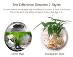 Wall Mounted Transparent Fish Tank Flower Vase | Vinantica
